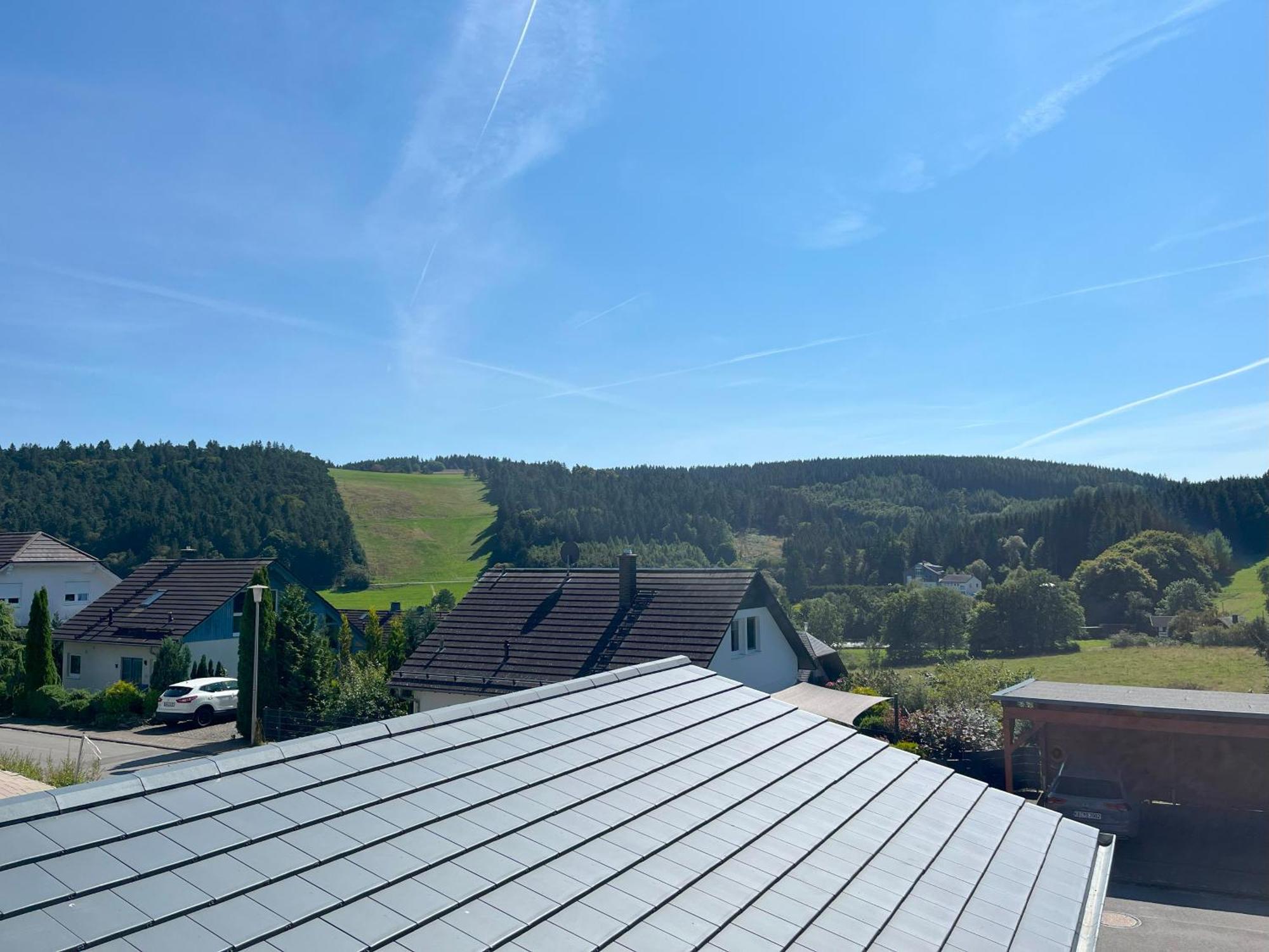 Ferienwohnung Uplandblockhaus Willingen  Eksteriør billede